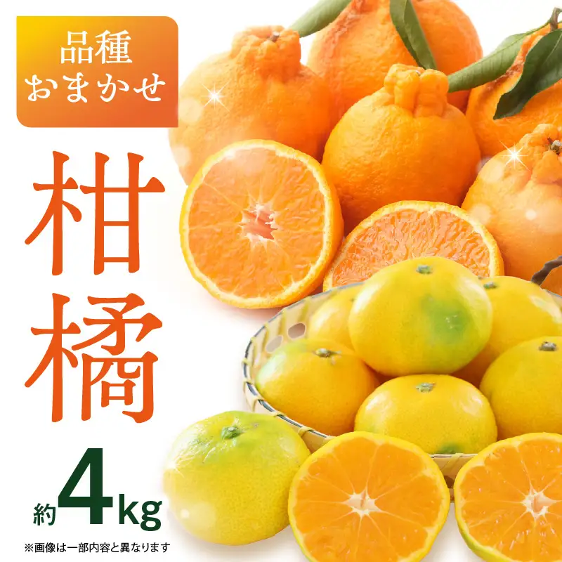 品種おまかせ！柑橘（4kg）＜配送不可：北海道・沖縄・離島＞ ミカン みかん デコポン 柑橘 おまかせ 旬 フルーツ 果物 福岡県 八女市 197-004
