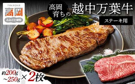 高岡育ちの越中万葉牛 ステーキ用200g～250g×2枚 サーロイン 肉 牛肉 ステーキ 国産 富山 お肉 サーロインステーキ  FAD-0076