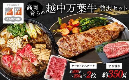 高岡育ちの越中万葉牛 贅沢セット（すき焼き用約350g＋ステーキ用約200～250g×2） サーロイン 牛 肉 ステーキ すきやき スキヤキ 国産 セット 牛肉 お肉  FAD-0078