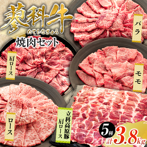 蓼科牛・立科高原豚焼肉セット（牛ロース200g×4パック、牛モモ350g×2パック、牛バラ350g×2パック、牛肩ロース400g×2パック、豚肩ロース400g×2パック）