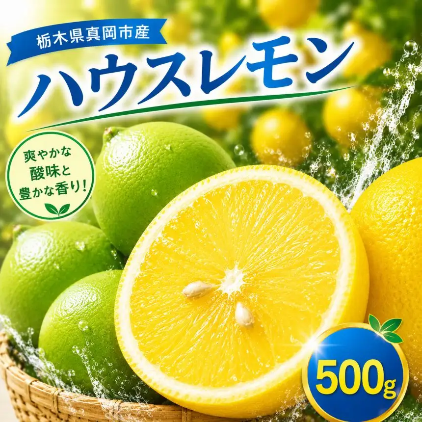 【先行予約】【500g】真岡市産 ハウス レモン