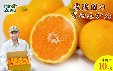  有田 みかん ご家庭用 サイズ混合 10kg / 有田みかん 温州みかん 甘い 家庭用 和歌山 柑橘 10kg ※2026年10月上旬～2027年2月上旬に順次発送【krt004-c-10】
