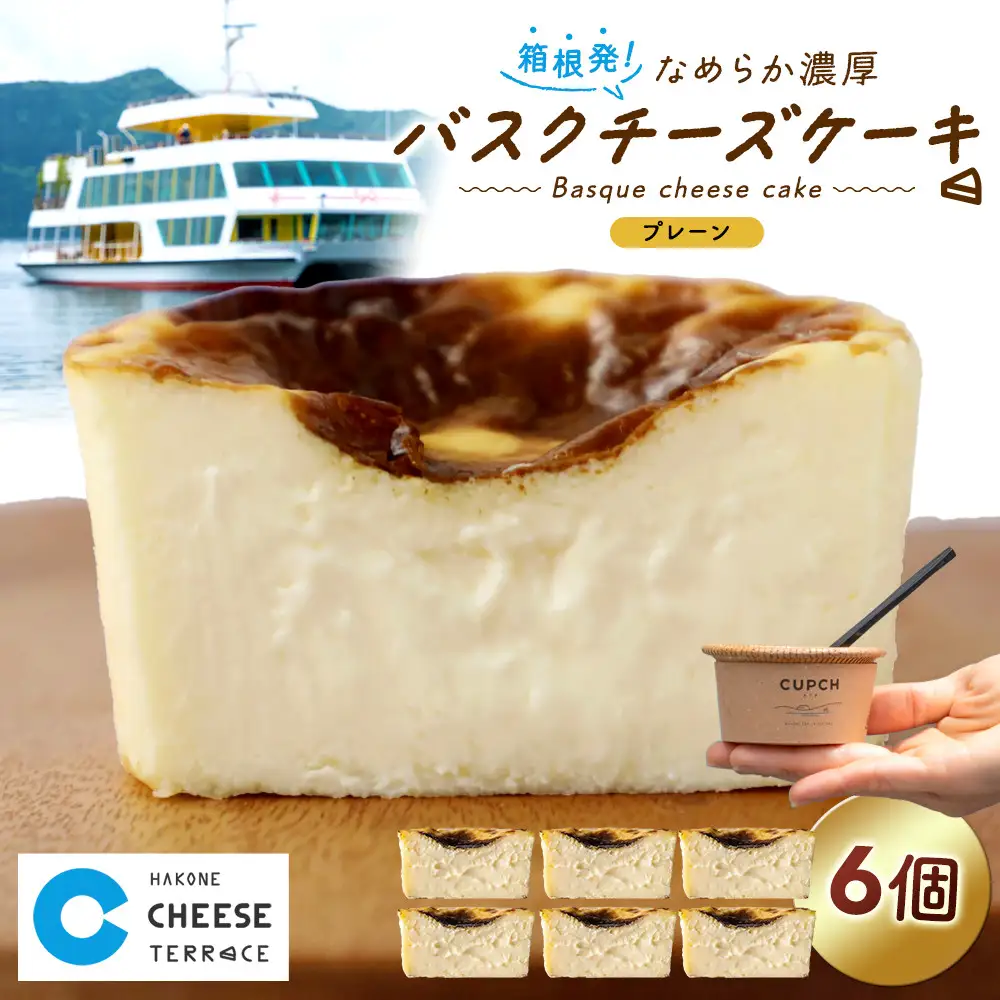 箱根発！なめらか濃厚バスクチーズケーキ 箱根チーズテラス・カプチ 【プレーン6個セット】