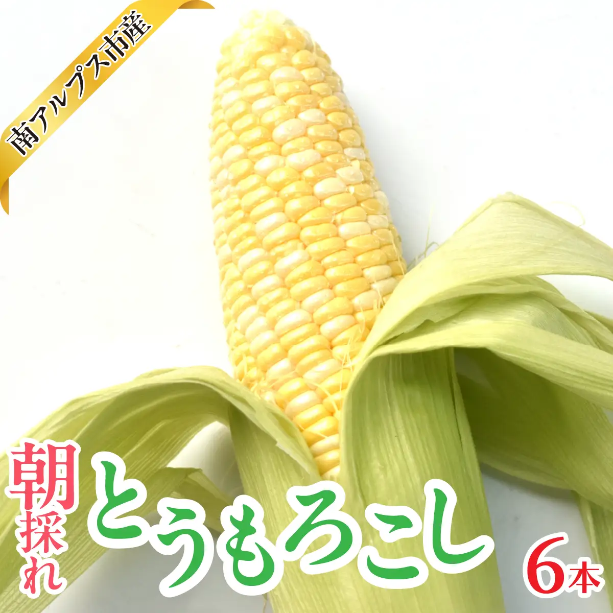 ＜2026年発送先行予約＞南アルプス市産　朝採れ　とうもろこし　6本　ALPAJ061