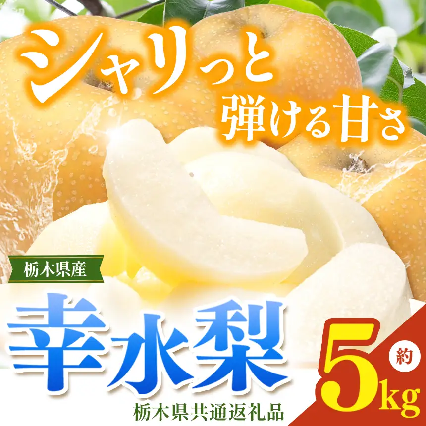 栃木県産梨 幸水 5kg