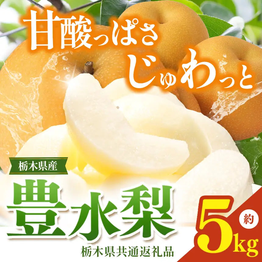 栃木県産梨 豊水 5kg