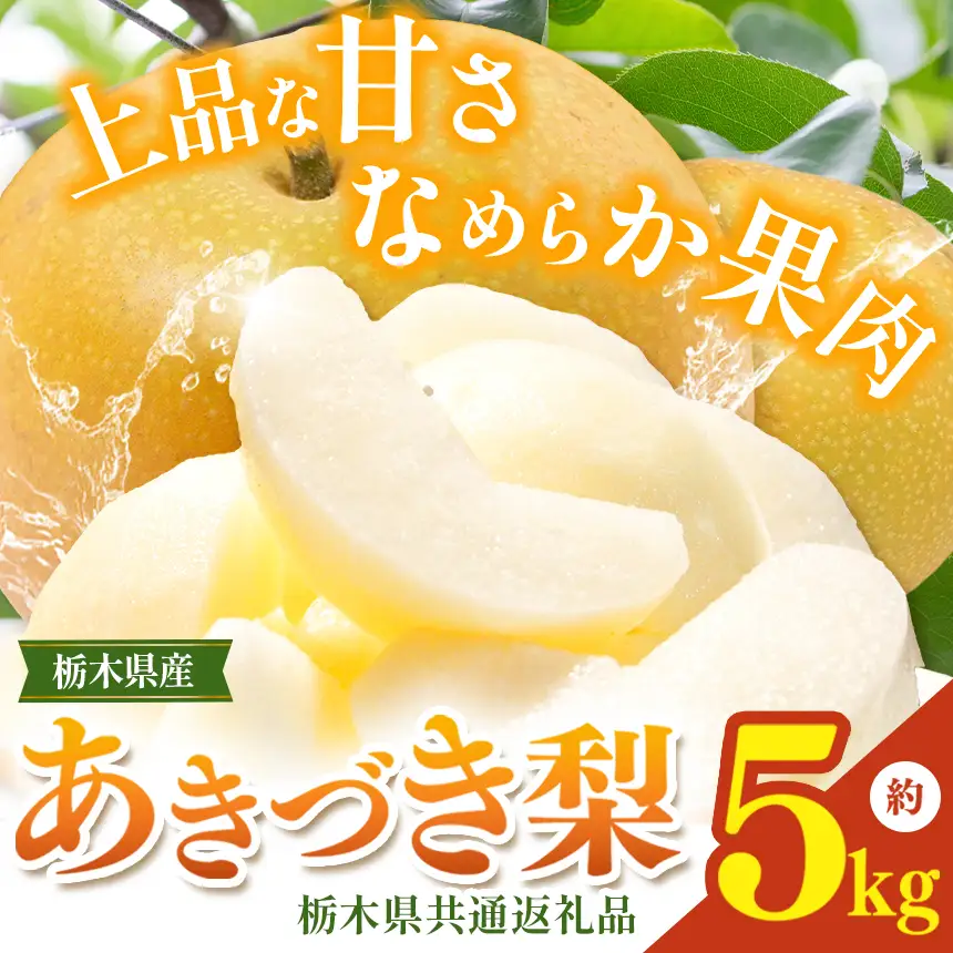 栃木県産梨 あきづき 5kg