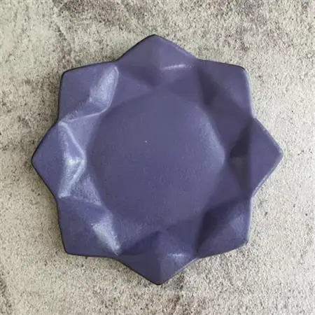 星屑の器 計1個 徳島産【1640761】