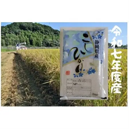 【毎月定期便】静岡こしひかり(精米)5kg×1袋全3回【4076144】