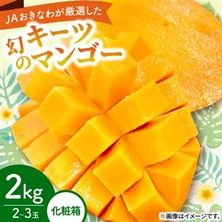 【2026年8月から順次発送・化粧箱】JAおきなわ厳選した幻のキーツマンゴー2kg(2～3玉)【配送不可地域：離島】【1681785】
