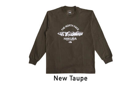THE NORTH FACE    長袖 Tシャツ  XXL　ニュートープ
