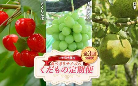 【令和8年産先行予約】 《定期便3回》 食べきりサイズの くだもの定期便 『南陽中央青果市場』 さくらんぼ シャインマスカット ラ・フランス 果物 フルーツ 山形県 南陽市 [1745-R8]