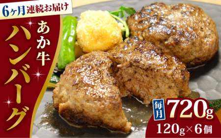 【全6回定期便】あか牛 100％ハンバーグ 約120g×6個 ハンバーグ[AYCQ084]