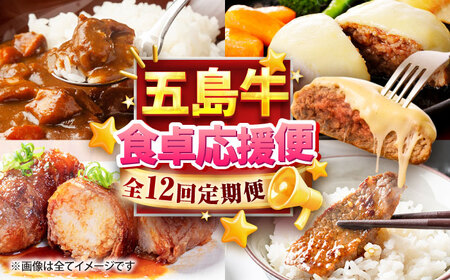 【12回定期便】食卓応援！お届け内容が毎月変わる五島牛定期便 五島市/ごとう農業協同組合[PAF107]