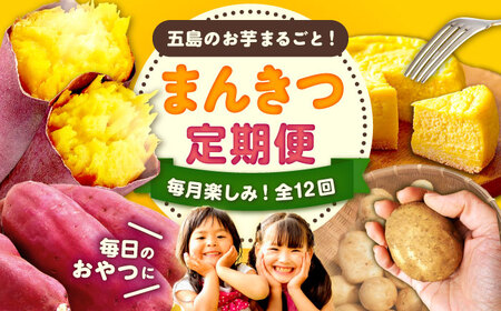 【12回定期便】五島の芋まんきつ定期便 五島市ふるさと納税/五島市[PZX052]