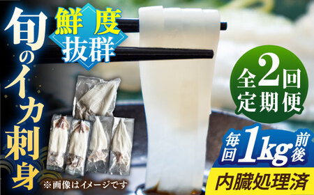 【全2回定期便】旬のイカ刺身1kg前後《壱岐市》【馬渡水産】イカ いか 烏賊 剣先 アオリ あおり スルメ するめ 刺身 刺し身 お刺身 海鮮 魚貝 冷凍配送 産地直送[JAQ030]