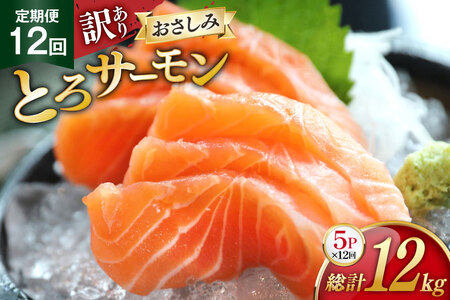 定期便 訳あり とろサーモン 刺身 5パック計1kg×12回 総計12kg 毎月 12回 定期 [たみこの海パック 宮城県 南三陸町 m304amh560077]
