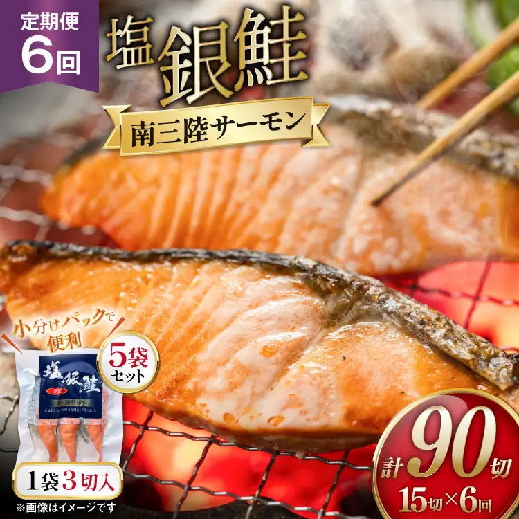 6回 定期便 塩銀鮭パック 3切×5袋×6回 総計30袋 [たみこの海パック 宮城県 南三陸町 m304amh560086]