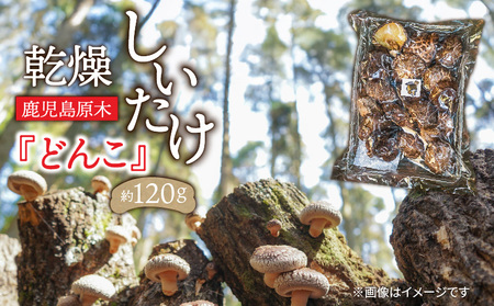 鹿児島 原木 乾燥 しいたけ 『 どんこ 』 約 120g K205-002