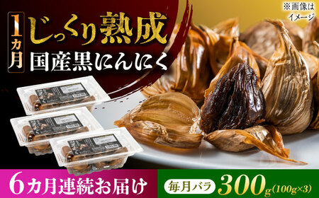 【6回定期便】 国産熟成 黒にんにく 300g (100g×3) バラ 瑞浪市 / 国産ムラセの熟成黒にんにく 青森県産 ニンニク[AZCO017]