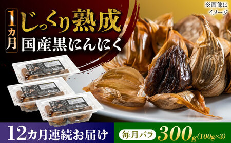 【12回定期便】 国産熟成 黒にんにく 300g (100g×3) バラ 瑞浪市 / 国産ムラセの熟成黒にんにく 青森県産 ニンニク[AZCO018]