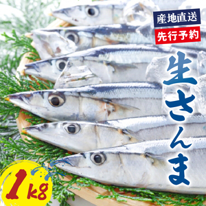 【予約】 さんま 約1kg ＼ 秋刀魚 ／ 冷蔵