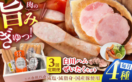 【3回定期便】 美濃白川ハム 4種セット （ プレスハム ・ パストラミハム ・ ウインナー ・ レモンウインナー ） ハム プレスハム パストラミ ウインナー 詰め合わせ 白川町 / 白川町農業開発[AWAH021]
