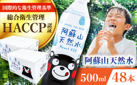 阿蘇山天然水 500ml 計48本(24本×2ケース)  BHDG003 ペットボトル ペットボトル