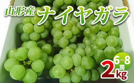 山形産 ナイヤガラ2kg 秀品(6～8房)【令和8年産先行予約】FS25-078