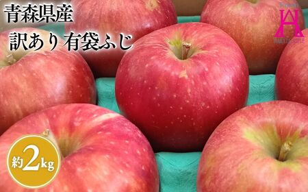 【レビューキャンペーン】6月 クール便発送【訳あり】家庭用有袋ふじ約2㎏【原田青果】[hi-0059-012-6]