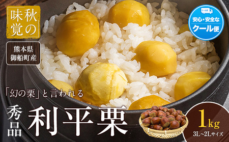 【先行予約】利平栗  約1kg(3L-2Lサイズ)《2026年9月上旬-10月上旬出荷》