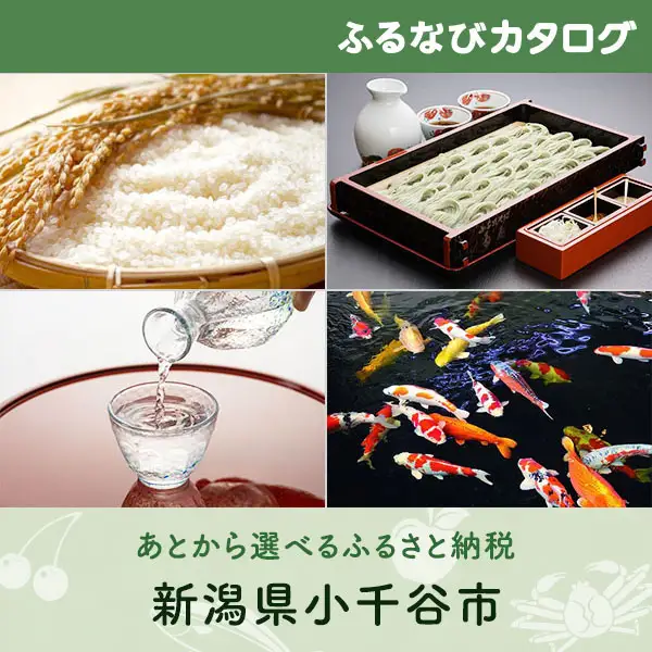 【有効期限なし！後からゆっくり特産品を選べる】新潟県小千谷市カタログポイント