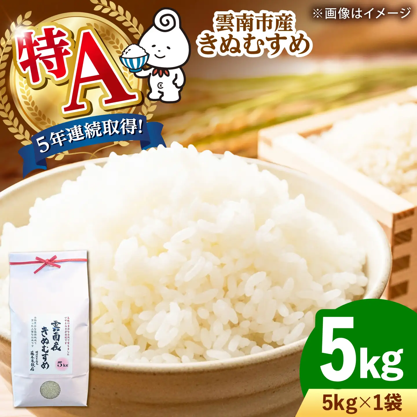米 雲南市産きぬむすめ 5kg  [AIDB099] 