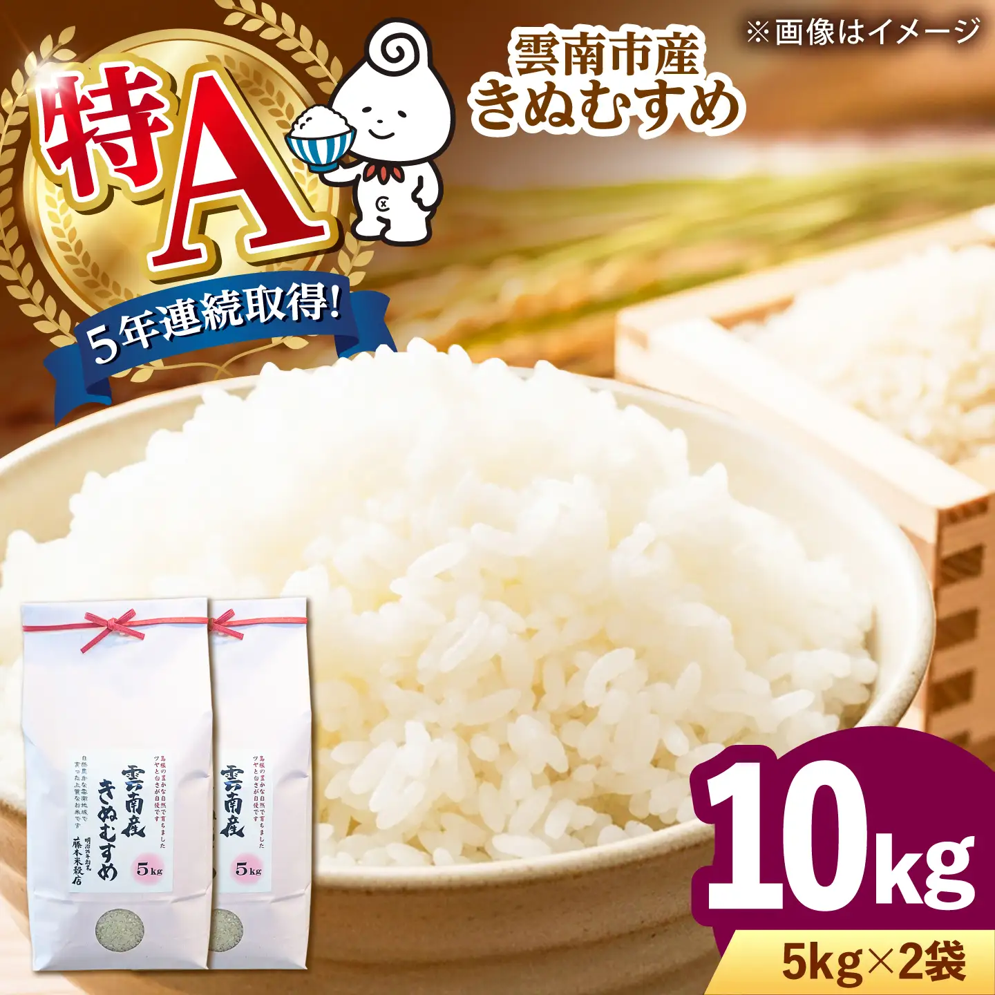 きぬむすめ 雲南市産きぬむすめ10kg（5kg×2袋）[AIDB100] 