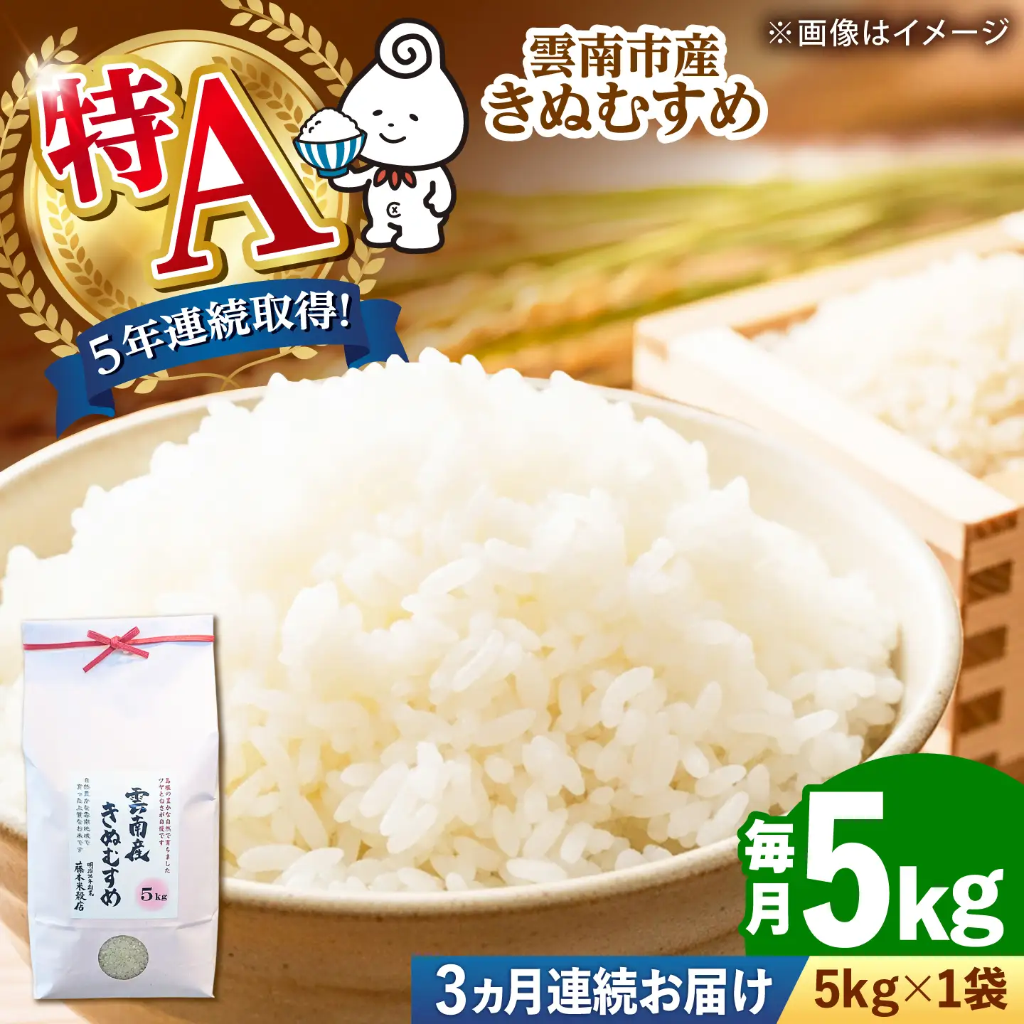 【全3回定期便】雲南市産きぬむすめ 5kg [AIDB102]きぬむすめ