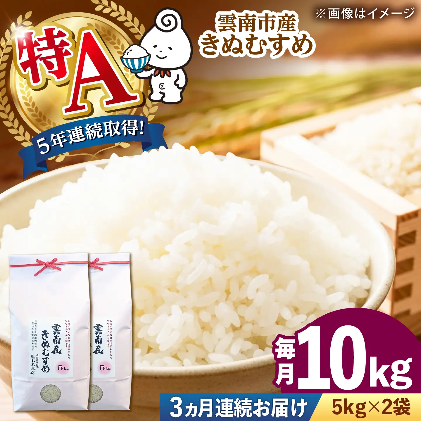【全3回定期便】雲南市産きぬむすめ 10kg（5kg×2袋）[AIDB103] きぬむすめ