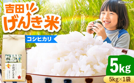 コシヒカリ 5kg 吉田げんき米 [AIDB117] コシヒカリ