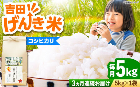 【全3回定期便】吉田げんき米コシヒカリ 5kg [AIDB120] コシヒカリ