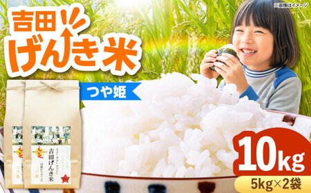 吉田げんき米つや姫 10kg（5kg×2袋) [AIDB124]