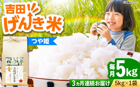 【全3回定期便】吉田げんき米つや姫 5kg [AIDB126]