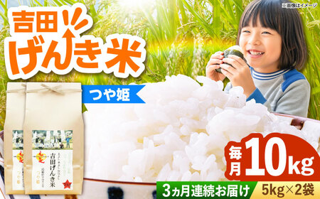 【全3回定期便】吉田げんき米つや姫 10kg（5kg×2袋）[AIDB127]