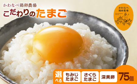 【品種を選べる】かわなべ鶏卵農場のこだわりのたまご75個/こだわり 国産 青梅市産 鶏 鳥 卵 たまご タマゴ 玉子 朝食 卵かけご飯 ＴＫＧ ゆでたまご 赤玉 卵黄 卵白 健康 青梅市 深美卵