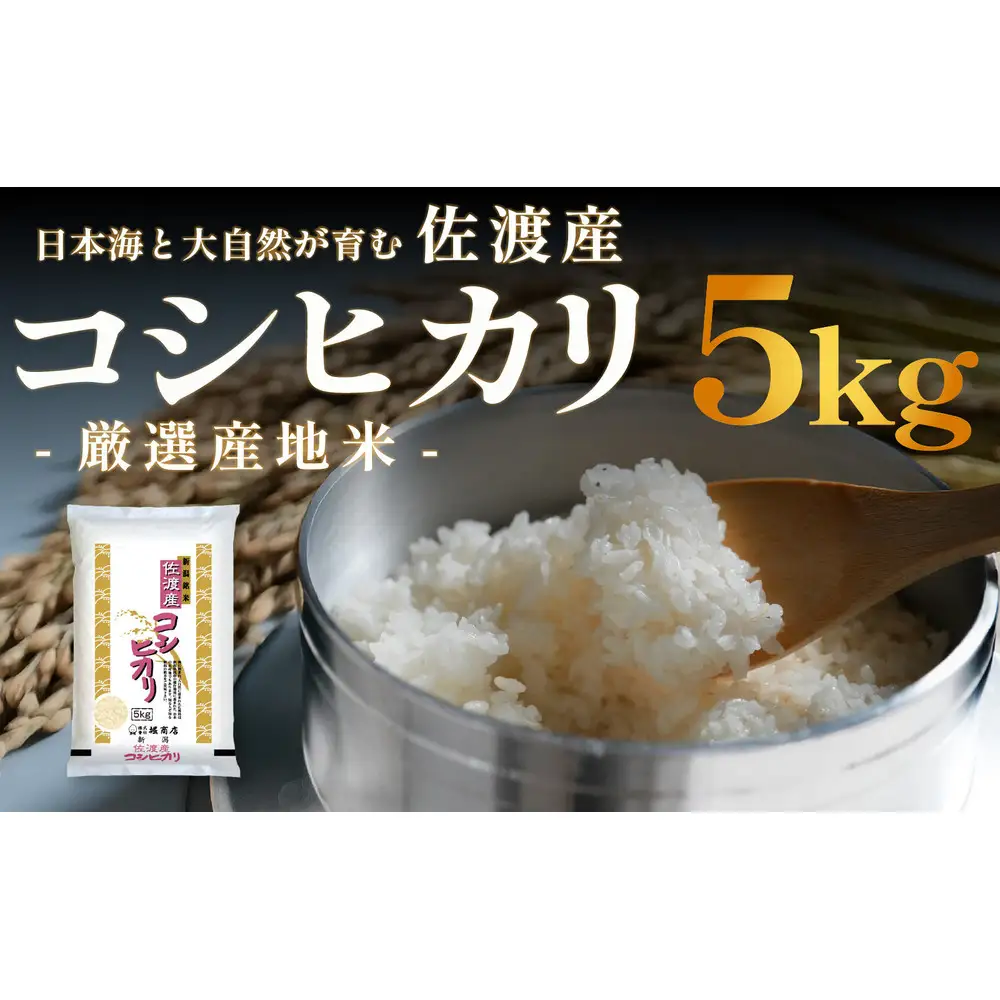 佐渡産コシヒカリ 5kg 令和7年産