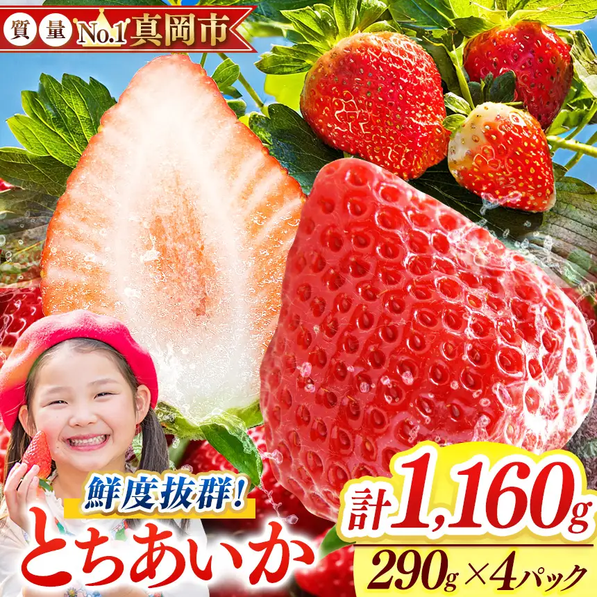 【2027年先行予約受付中！】鮮度抜群 とちあいか 2箱 (290g×4) 1160g