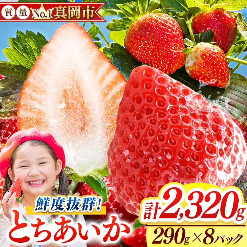 【2027年先行予約受付中！】鮮度抜群 とちあいか 4箱 (290g×8) 2320g