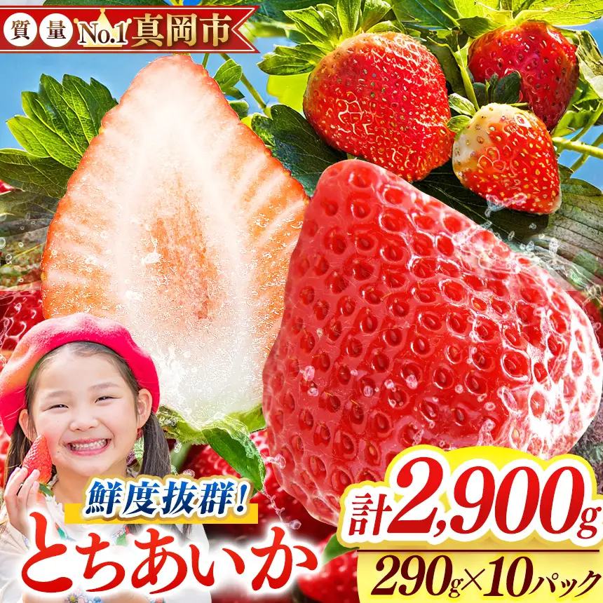 【2027年先行予約受付中！】鮮度抜群 とちあいか 5箱 (290g×10) 2900g