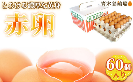 国産　赤卵　60個入