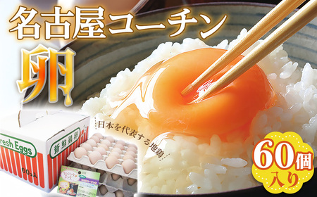 日本を代表する地鶏　名古屋コーチン卵　60個入