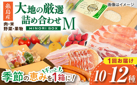 【お中元対象】糸島産 肉 米 野菜 果物 厳選詰め合わせ MINORI BOX Mサイズ 糸島市 / emma.Inc / 米 肉 野菜 果物 詰め合わせ[AOP011]