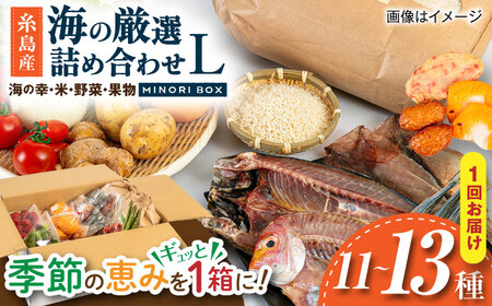 【お中元対象】糸島産 魚 米 野菜 果物 厳選詰め合わせ MINORI BOX Lサイズ 糸島市 / emma.Inc / 米 魚 野菜 果物 詰め合わせ[AOP027]